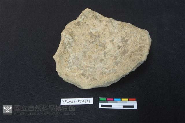 陶片藏品圖，第2張