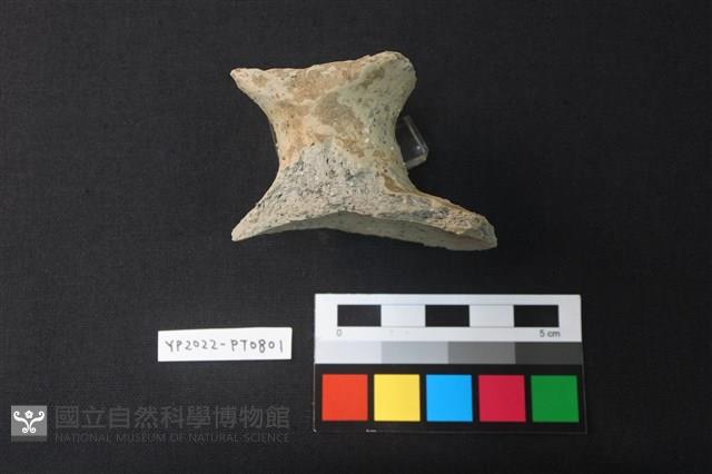 蓋鈕藏品圖，第2張