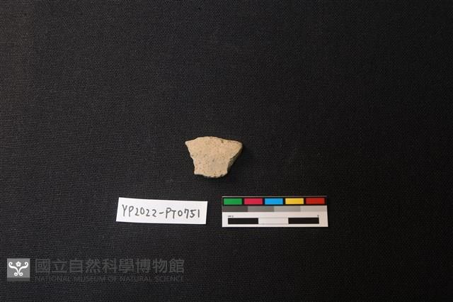 陶片藏品圖，第2張