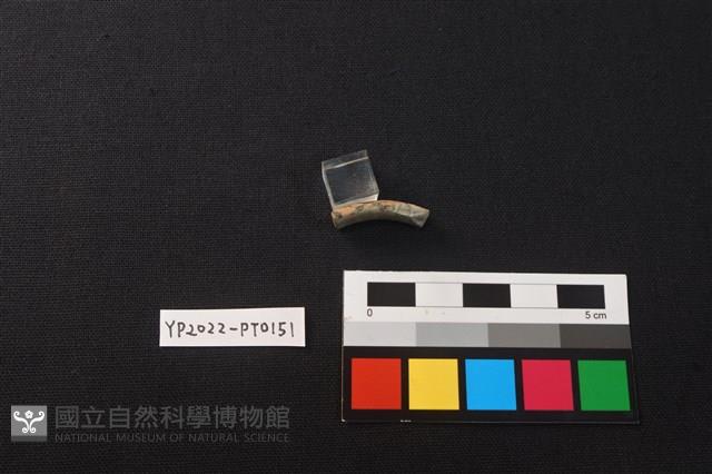 陶環藏品圖，第2張