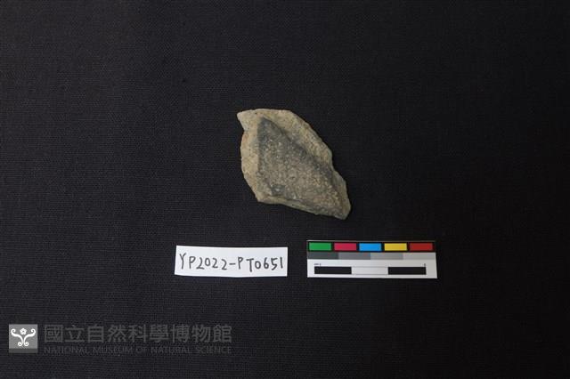 陶片藏品圖，第2張