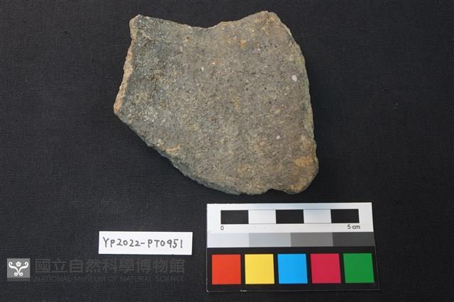 陶片藏品圖，第2張