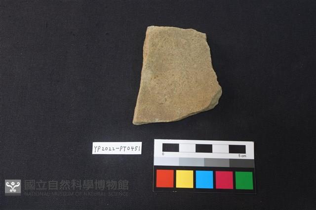 陶片藏品圖，第2張