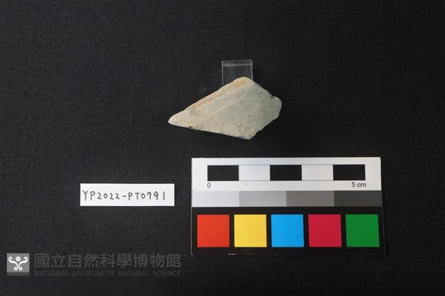 陶片藏品圖，第2張