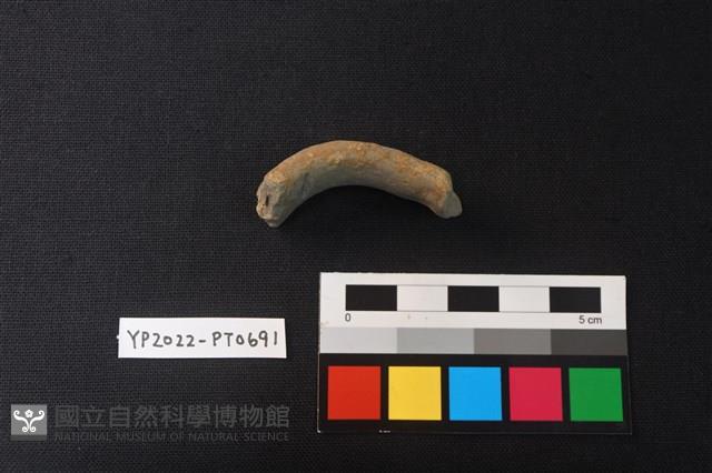 陶把藏品圖，第2張