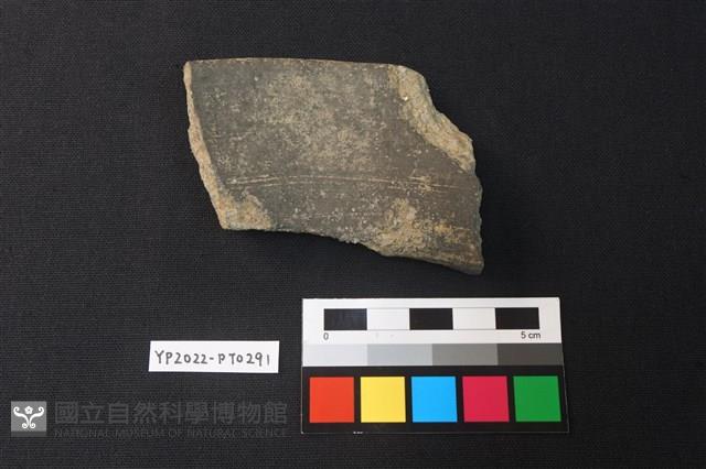 陶片藏品圖，第2張