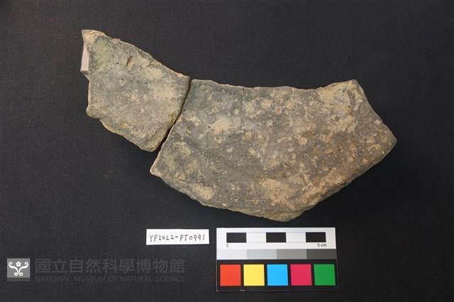 陶片藏品圖，第2張