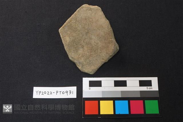 陶片藏品圖，第2張