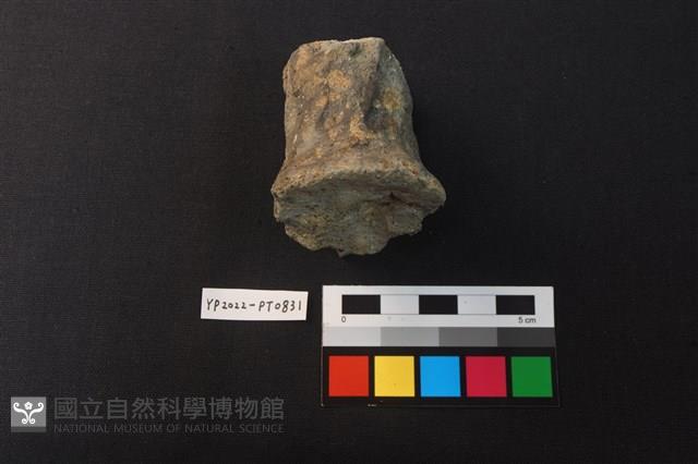 陶鈕藏品圖，第2張