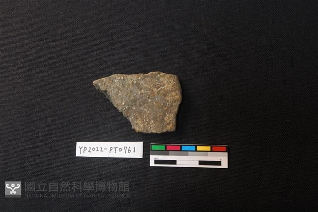陶片藏品圖，第2張
