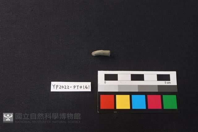 陶環藏品圖，第2張