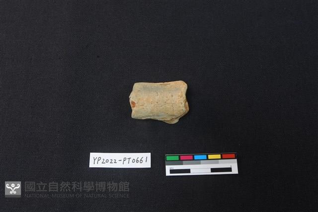陶片藏品圖，第2張