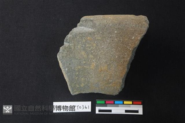 陶片藏品圖，第2張