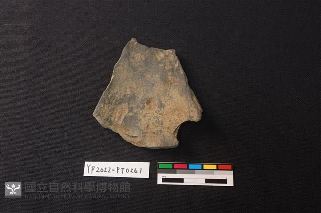 陶片藏品圖，第2張