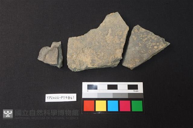 陶片藏品圖，第2張