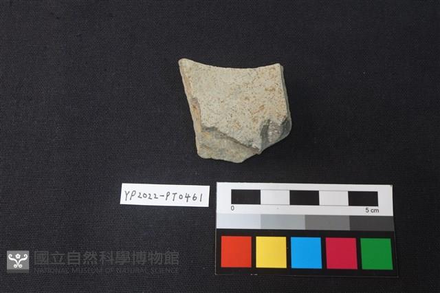陶片藏品圖，第2張