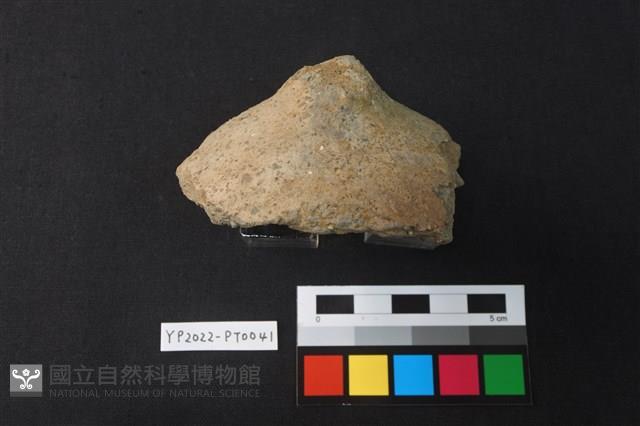 覆碗型陶蓋藏品圖，第2張