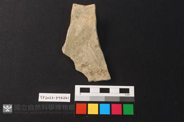 陶片藏品圖，第2張