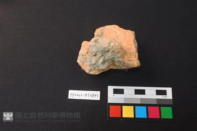 蓋鈕藏品圖，第2張