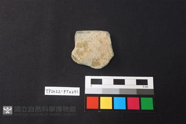 陶片藏品圖，第2張