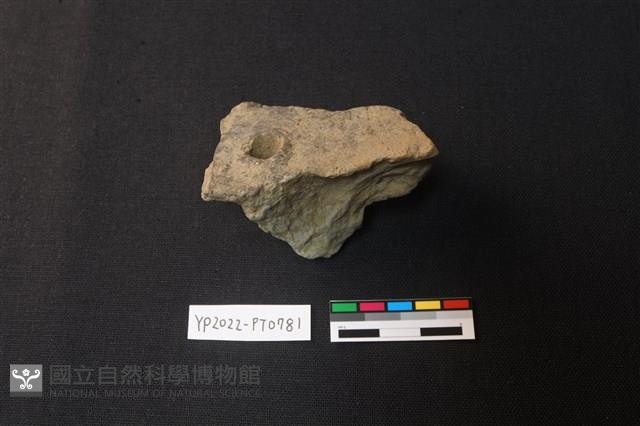 陶片藏品圖，第2張
