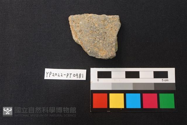 陶片藏品圖，第2張