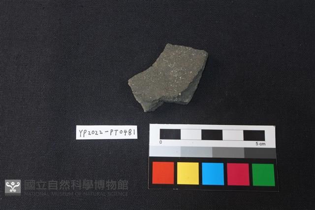 陶片藏品圖，第2張