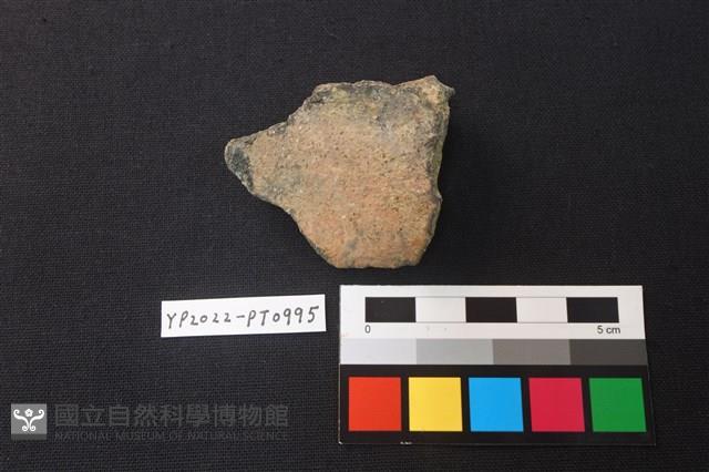 陶片藏品圖，第2張