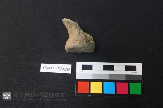 陶鈕藏品圖，第2張