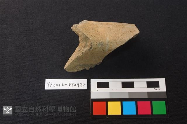 陶片藏品圖，第2張