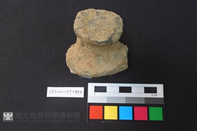 陶鈕藏品圖，第2張