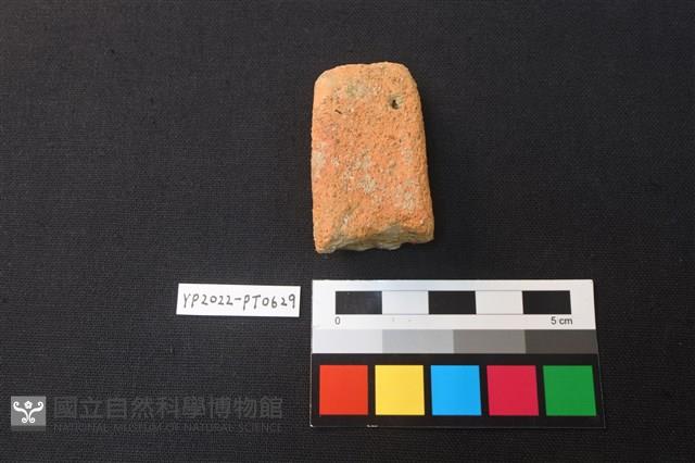陶網墜藏品圖，第2張