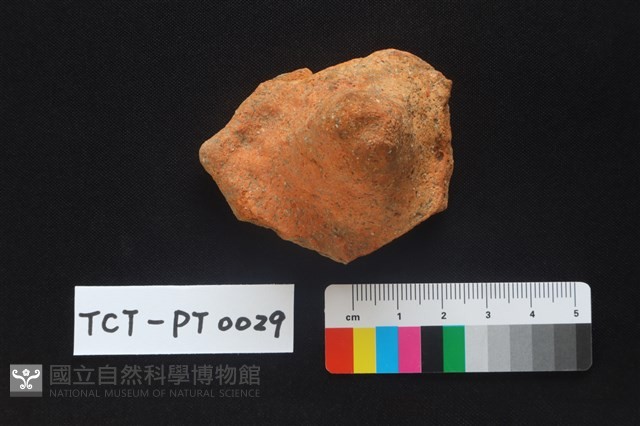 陶蓋鈕藏品圖，第2張