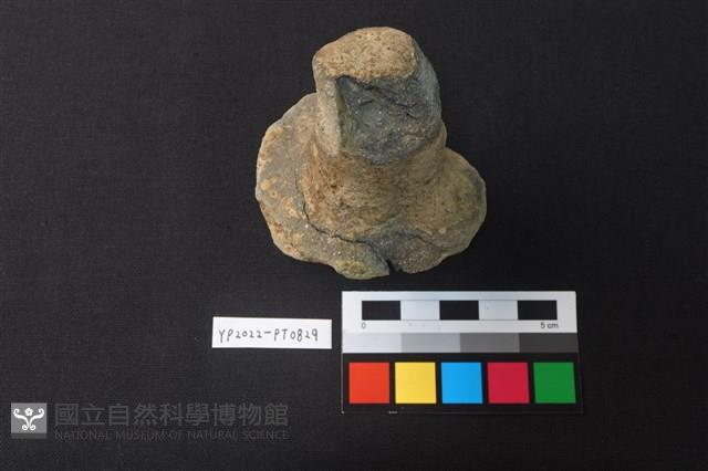 蓋鈕藏品圖，第2張