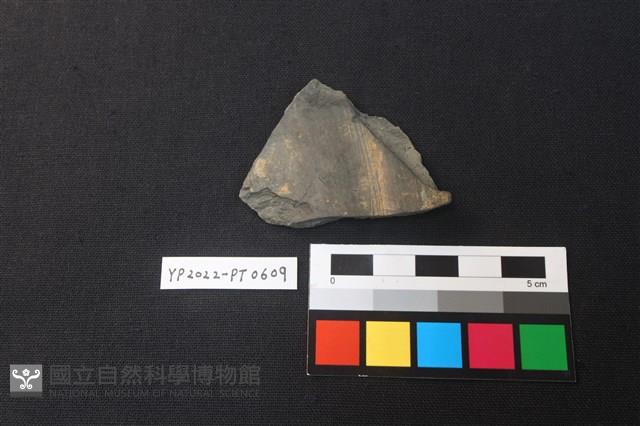 陶片藏品圖，第2張