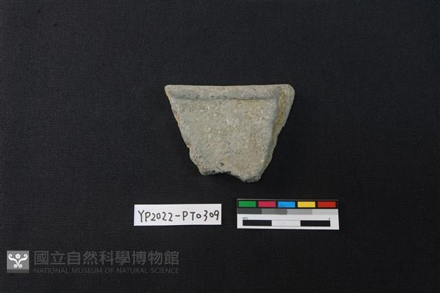 陶片藏品圖，第2張