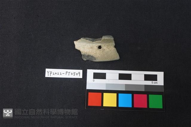 陶片藏品圖，第2張