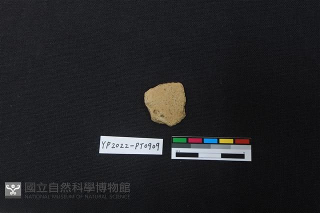 陶片藏品圖，第2張