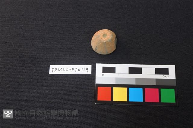 陶紡輪藏品圖，第2張