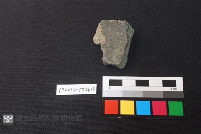 陶片藏品圖，第2張