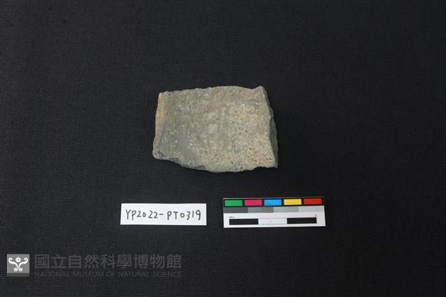 陶片藏品圖，第2張