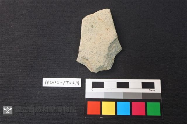 陶片藏品圖，第2張
