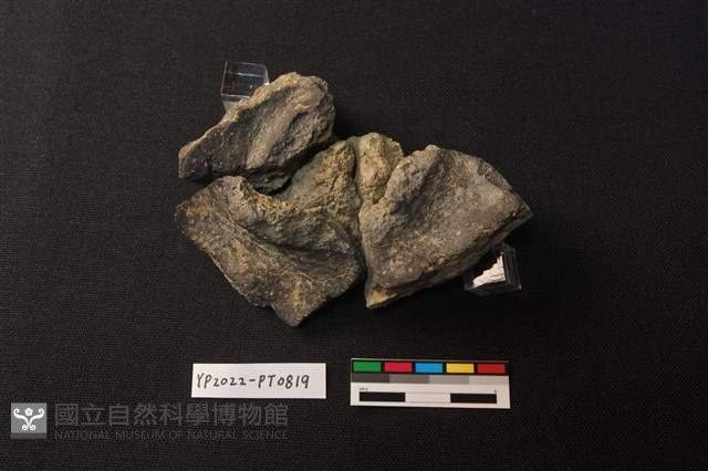 陶蓋藏品圖，第2張