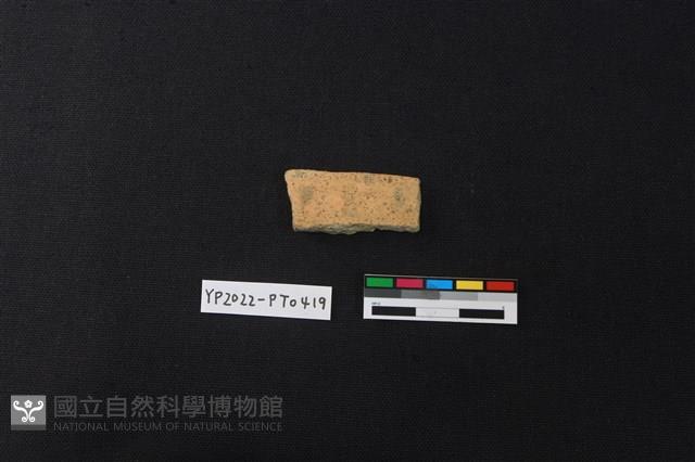 陶片藏品圖，第2張