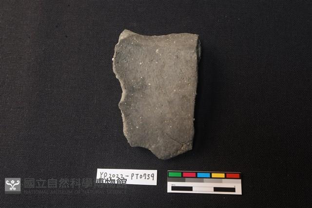 陶片藏品圖，第2張