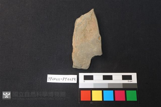 陶片藏品圖，第2張