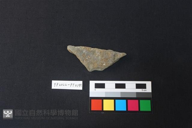 陶片藏品圖，第2張