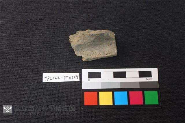 陶片藏品圖，第2張