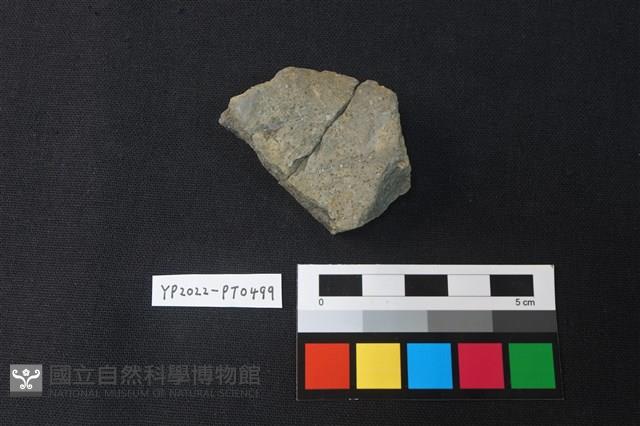 陶片藏品圖，第2張