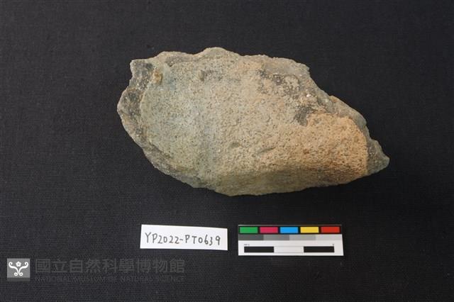 陶片藏品圖，第2張